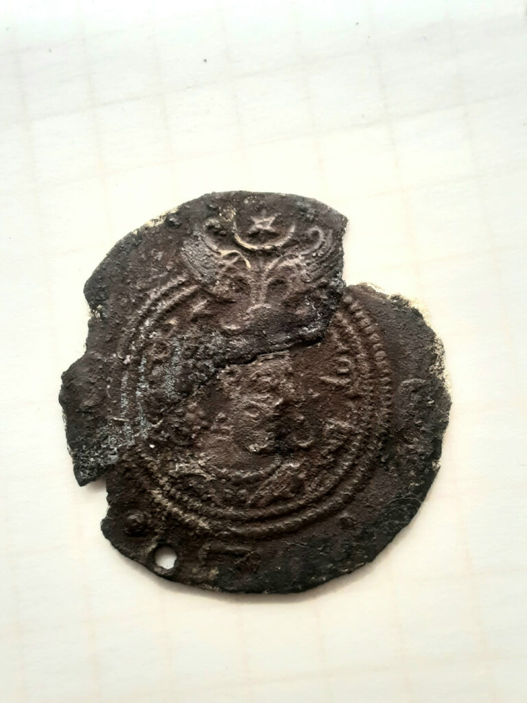 В Окском парке обнаружили подвеску из монеты "драхмы" Сасанидской империи