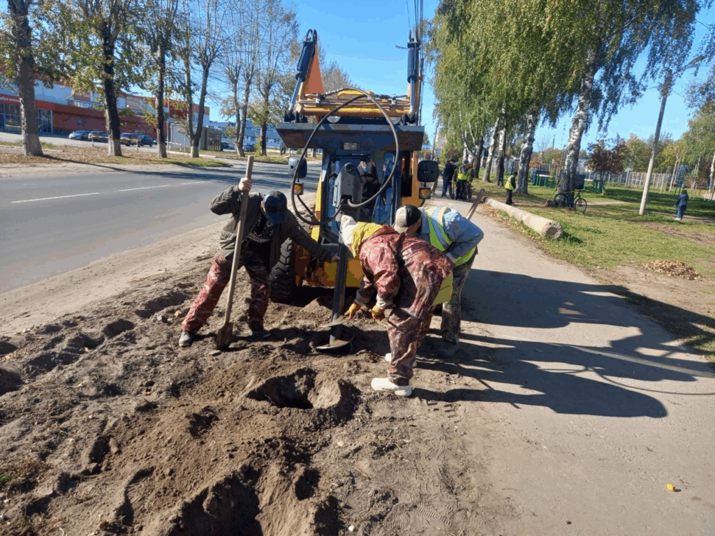 вдоль обновленной "Поляны сказок" высаживают розы