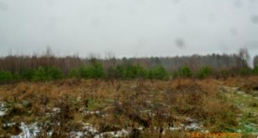 Поле у деревни Загряжское