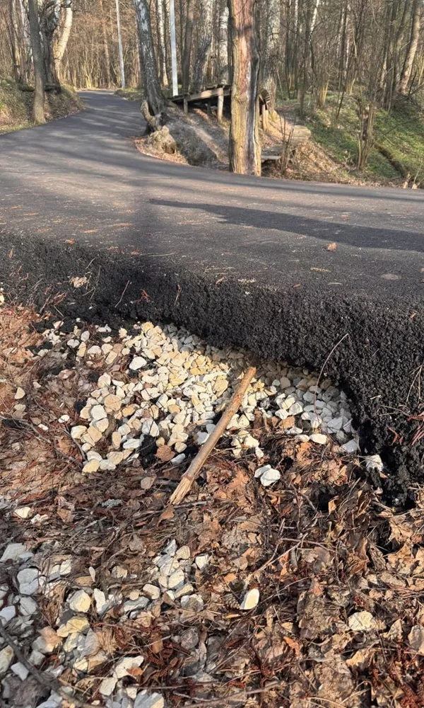 Исправления на лыжероллерной трассе