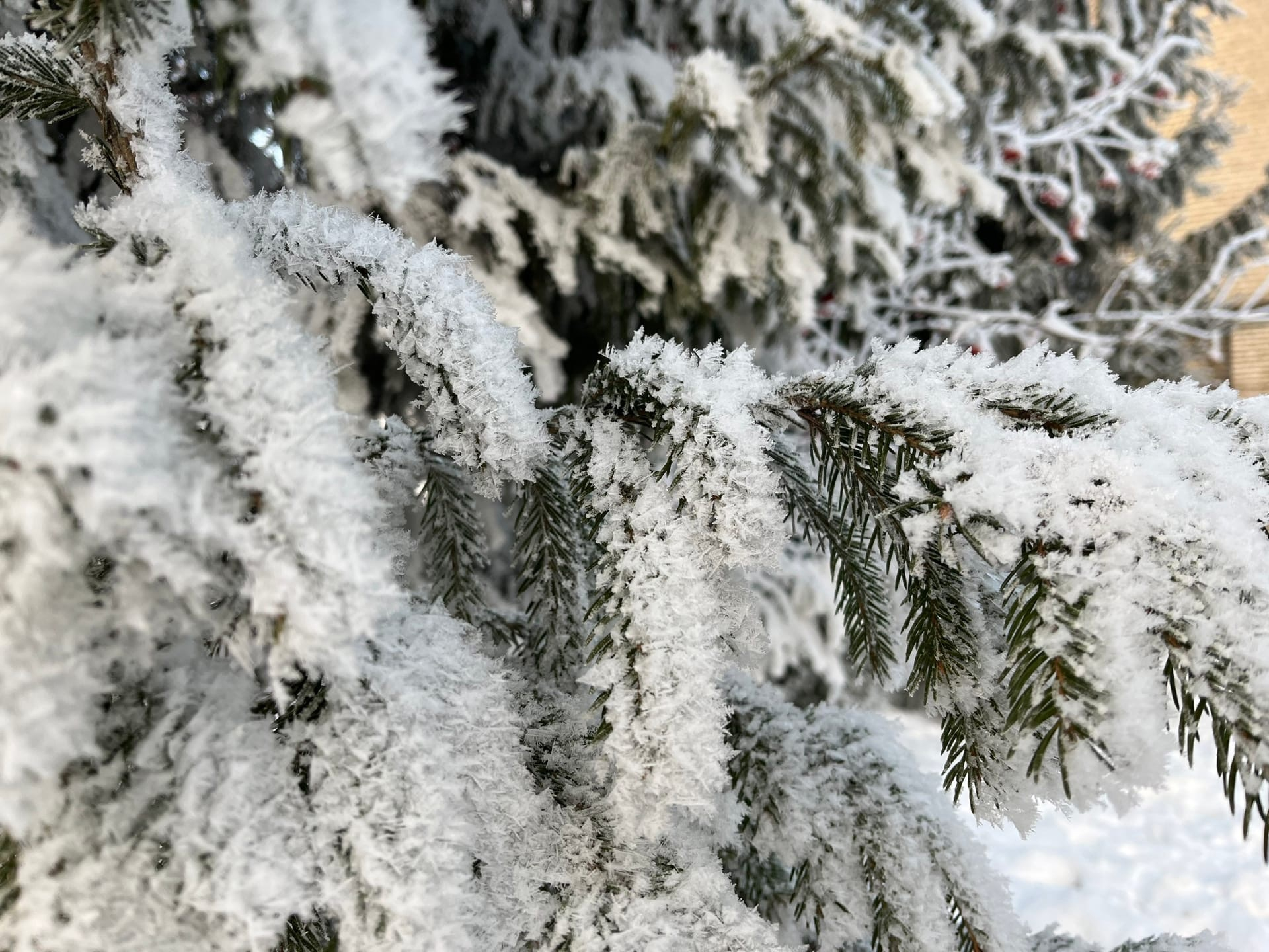Прогноз погоды на 24 декабря