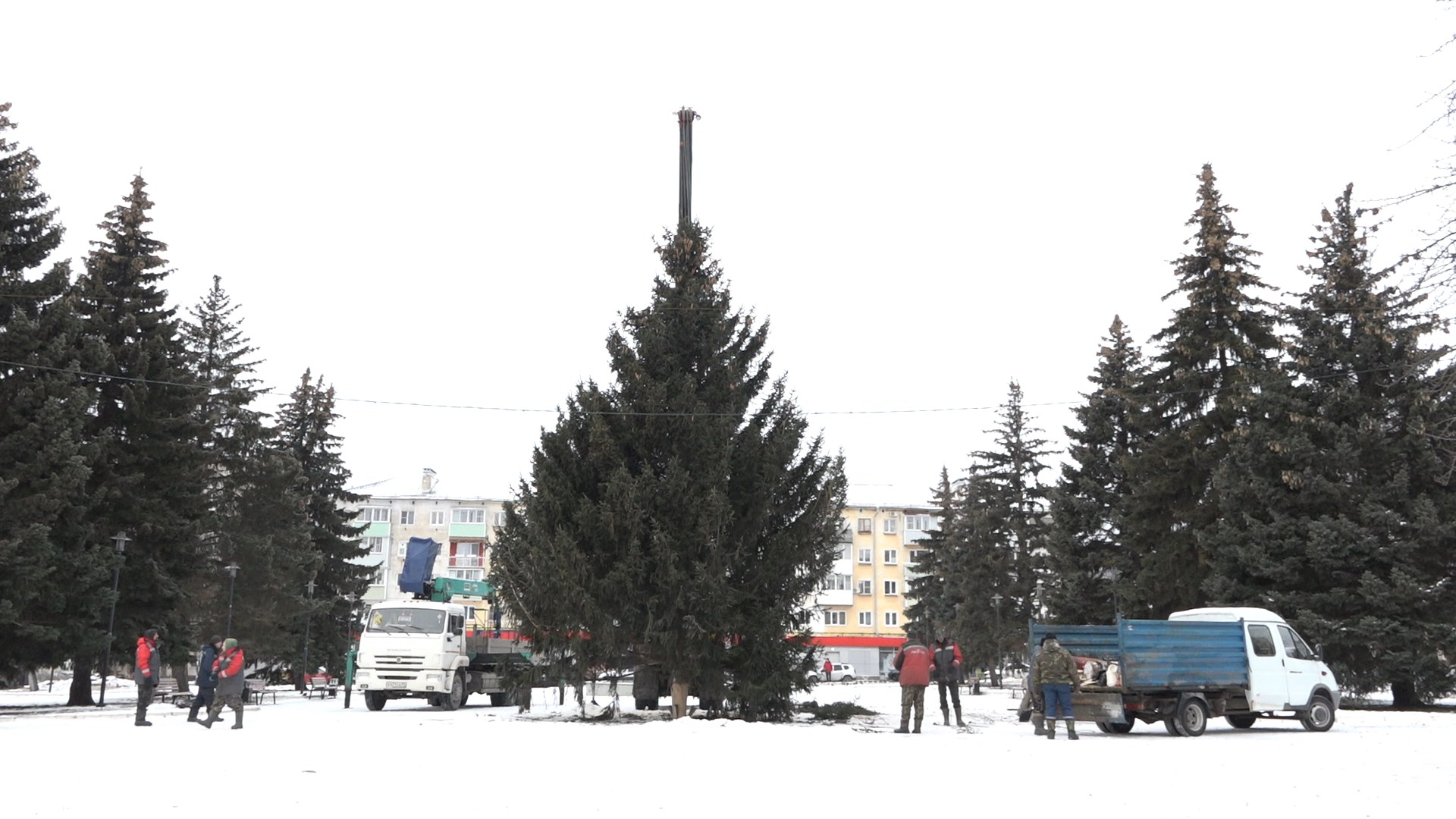 Новогодняя ель в микрорайоне Вербовский