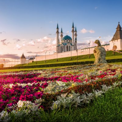 Тестовая компания 794