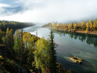 Репетитор по математике